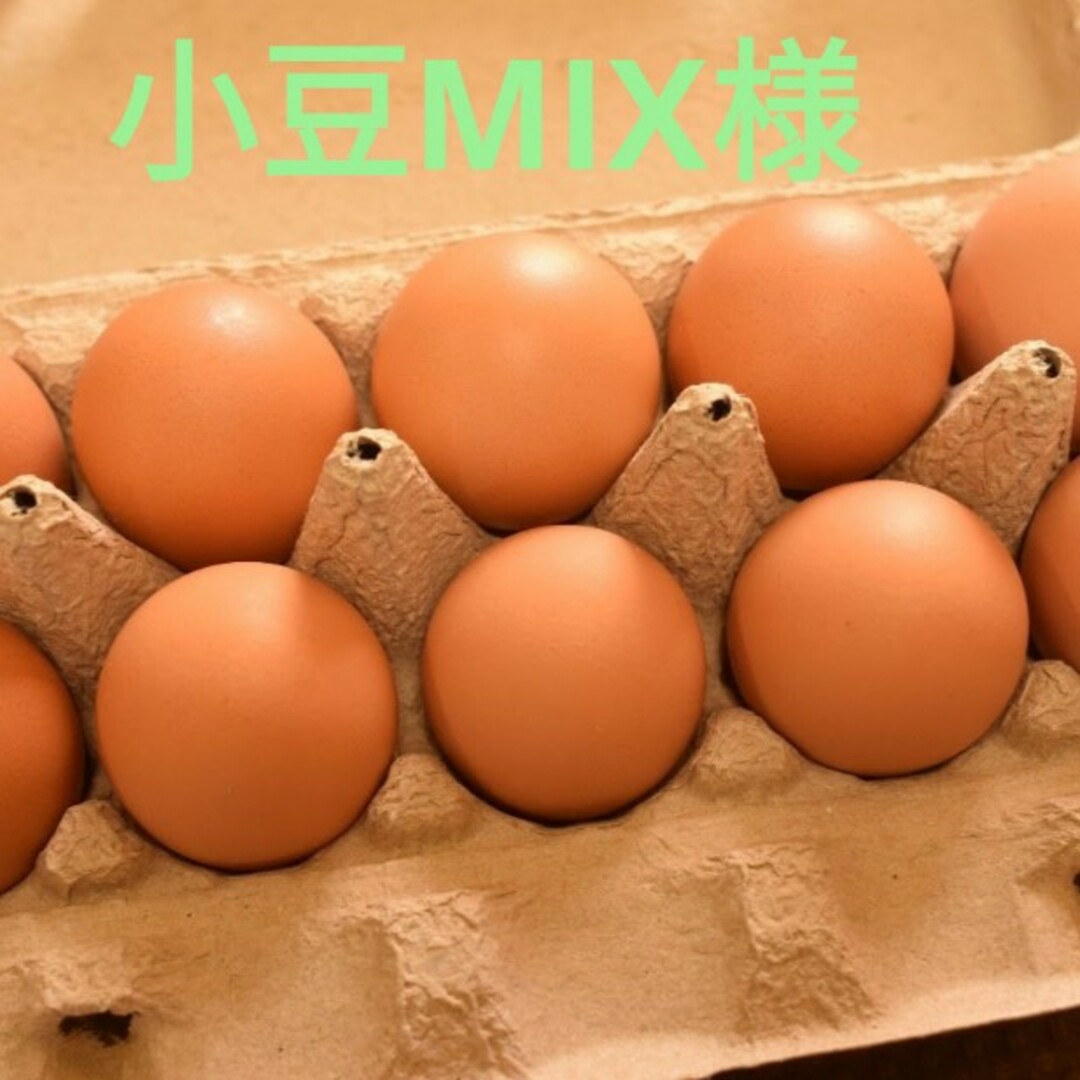 小豆MIX様専用　平飼い卵50個 食品/飲料/酒の食品(その他)の商品写真