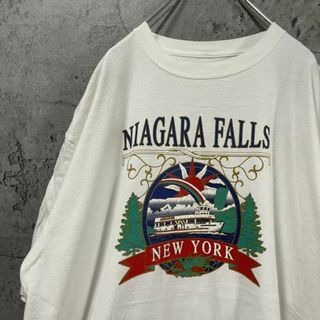 NIAGARA FALLS 太陽 USA輸入 オールド オーバー Tシャツ(Tシャツ/カットソー(半袖/袖なし))