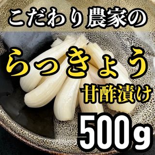 熊本県産 こだわり らっきょう甘酢漬け 500 g(その他)