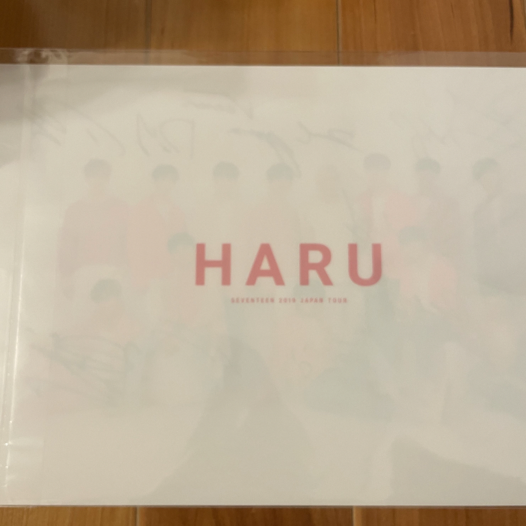 SEVENTEEN(セブンティーン)のSEVENTEEN HARU 直筆サイン入り　クリアファイル エンタメ/ホビーのCD(K-POP/アジア)の商品写真