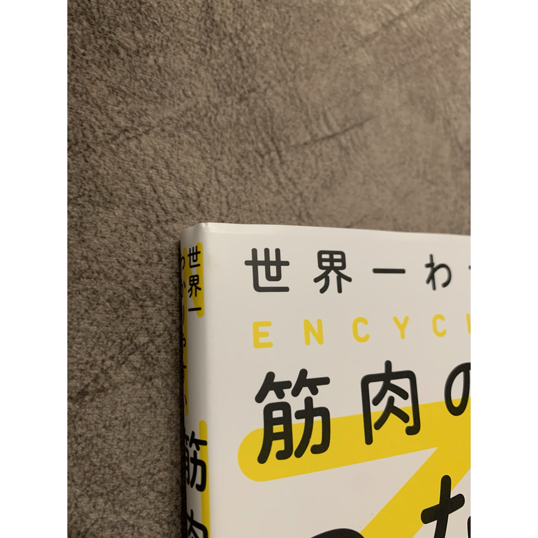 世界一わかりやすい筋肉のつながり図鑑 エンタメ/ホビーの本(趣味/スポーツ/実用)の商品写真