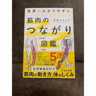 世界一わかりやすい筋肉のつながり図鑑(趣味/スポーツ/実用)