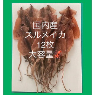 北海道産スルメイカ12枚セット おつまみ珍味　あたりめ　するめいか　北海するめ(乾物)