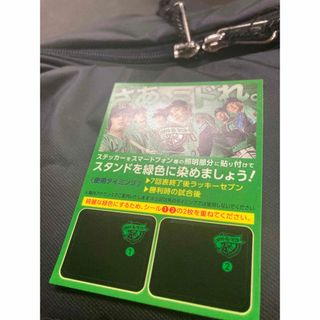 トウキョウヤクルトスワローズ(東京ヤクルトスワローズ)のヤクルトスワローズ 燕プロジェクトシール(記念品/関連グッズ)