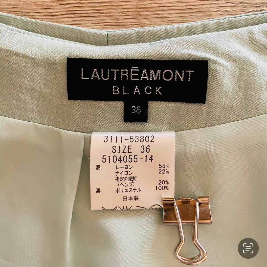 st930 LAUTREAMONT BLACK/艶感スカート/ライトグリーン レディースのスカート(ひざ丈スカート)の商品写真