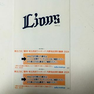 西武ホールディングス株主優待　2枚セット　内野指定席引換券　2024