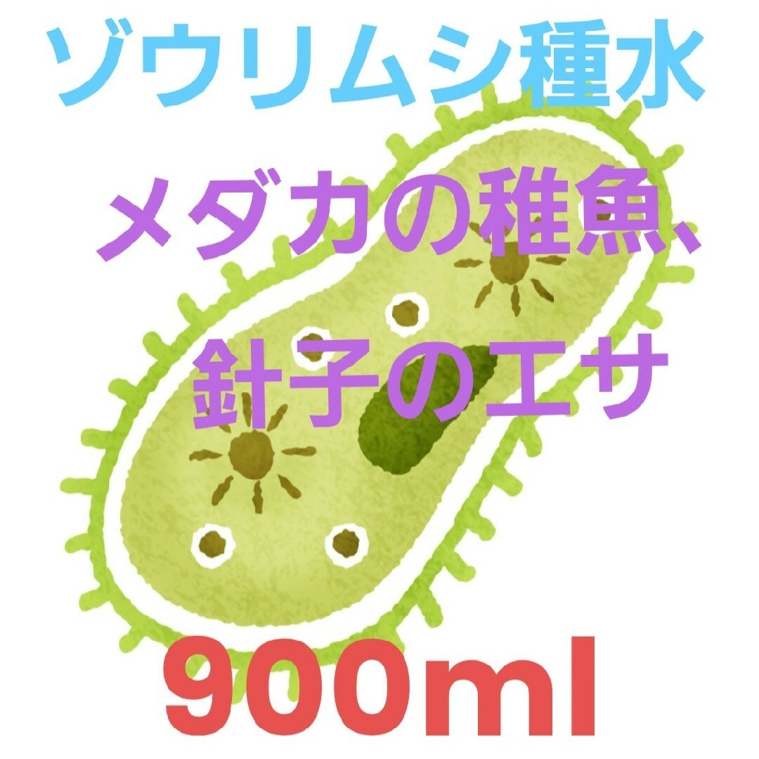 ゾウリムシ種水 メダカ.稚魚.針子の餌 900㎖♥取説書と♡培養酵母10錠付き♡ その他のペット用品(アクアリウム)の商品写真