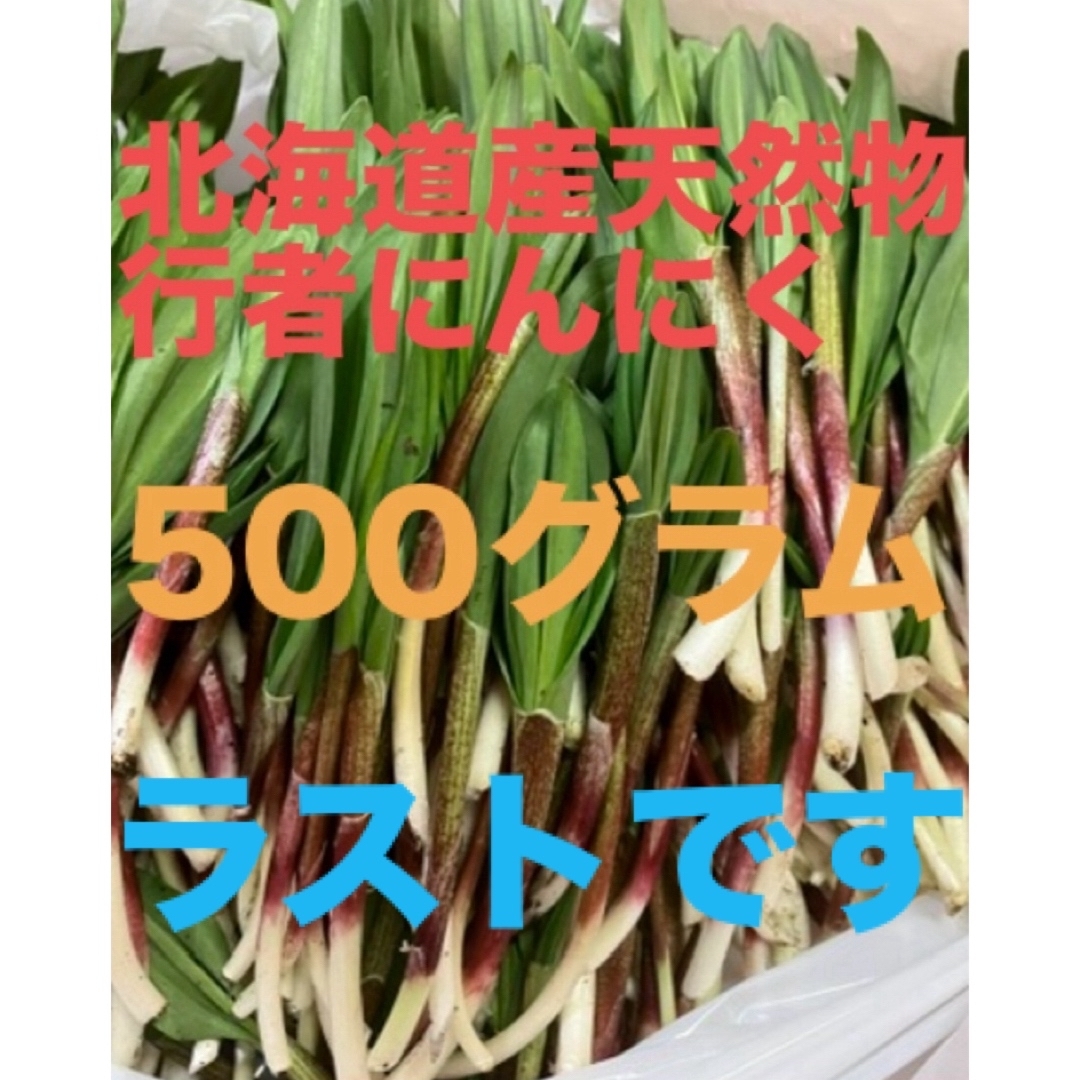 数量限定　北海道産天然物行者にんにく　500g 食品/飲料/酒の食品(野菜)の商品写真