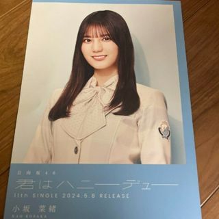 日向坂46 - 日向坂46　小坂菜緒　フライヤー