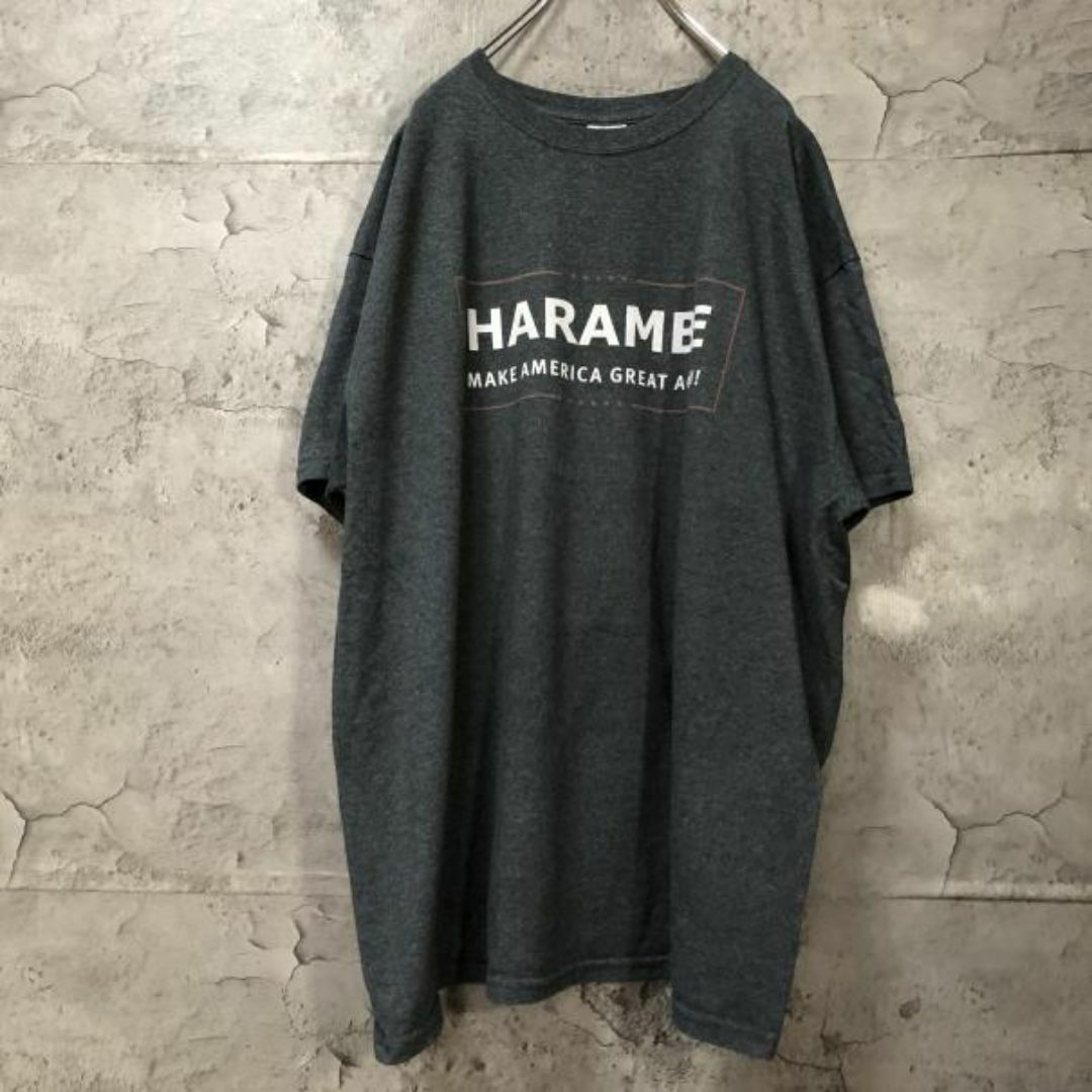 HARAMBE ボックスロゴ USA輸入 オーバーサイズ Tシャツ メンズのトップス(Tシャツ/カットソー(半袖/袖なし))の商品写真