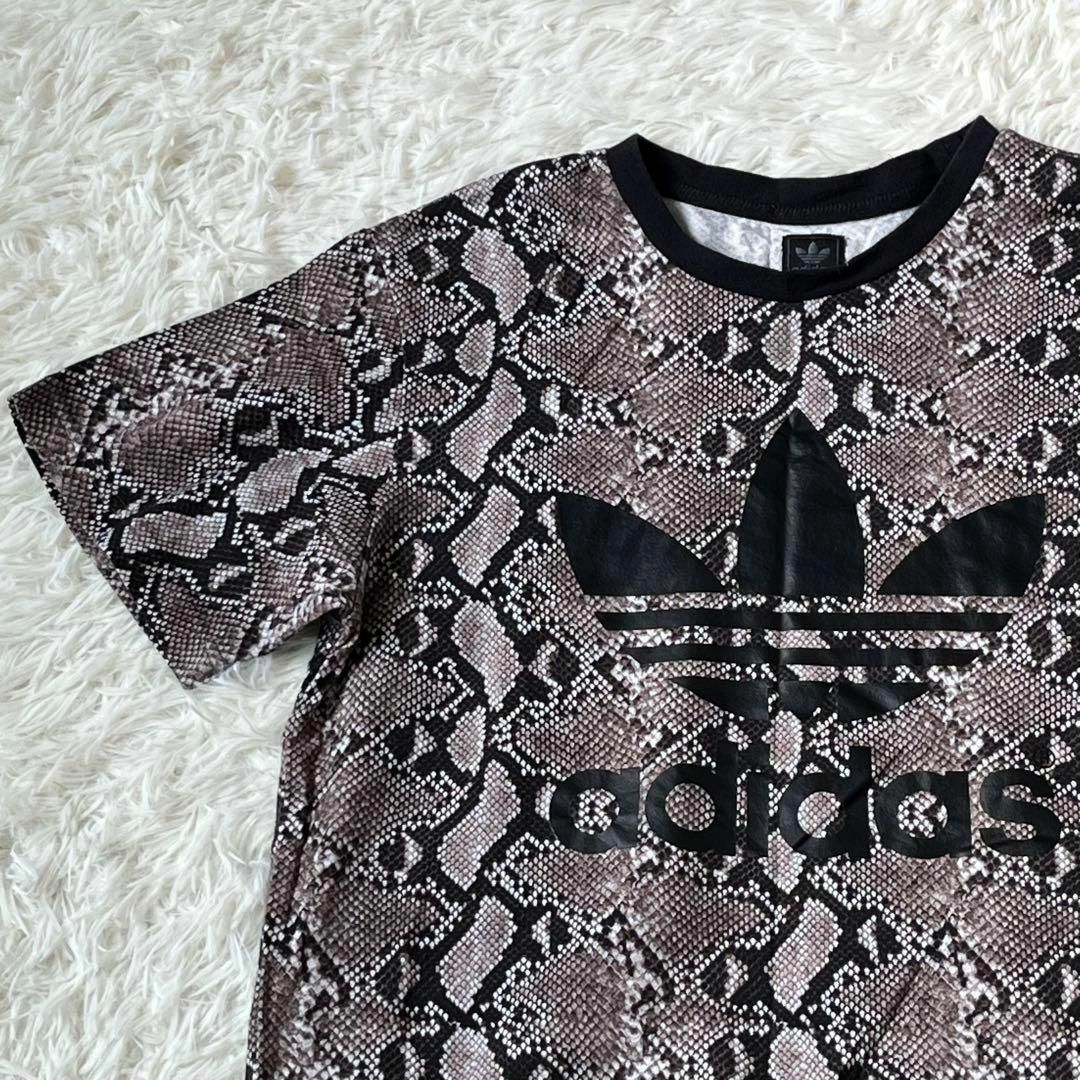 adidas(アディダス)のadidas アディダス　パイソン　スネーク　柄　Tシャツ　トレフォイル レディースのトップス(Tシャツ(半袖/袖なし))の商品写真