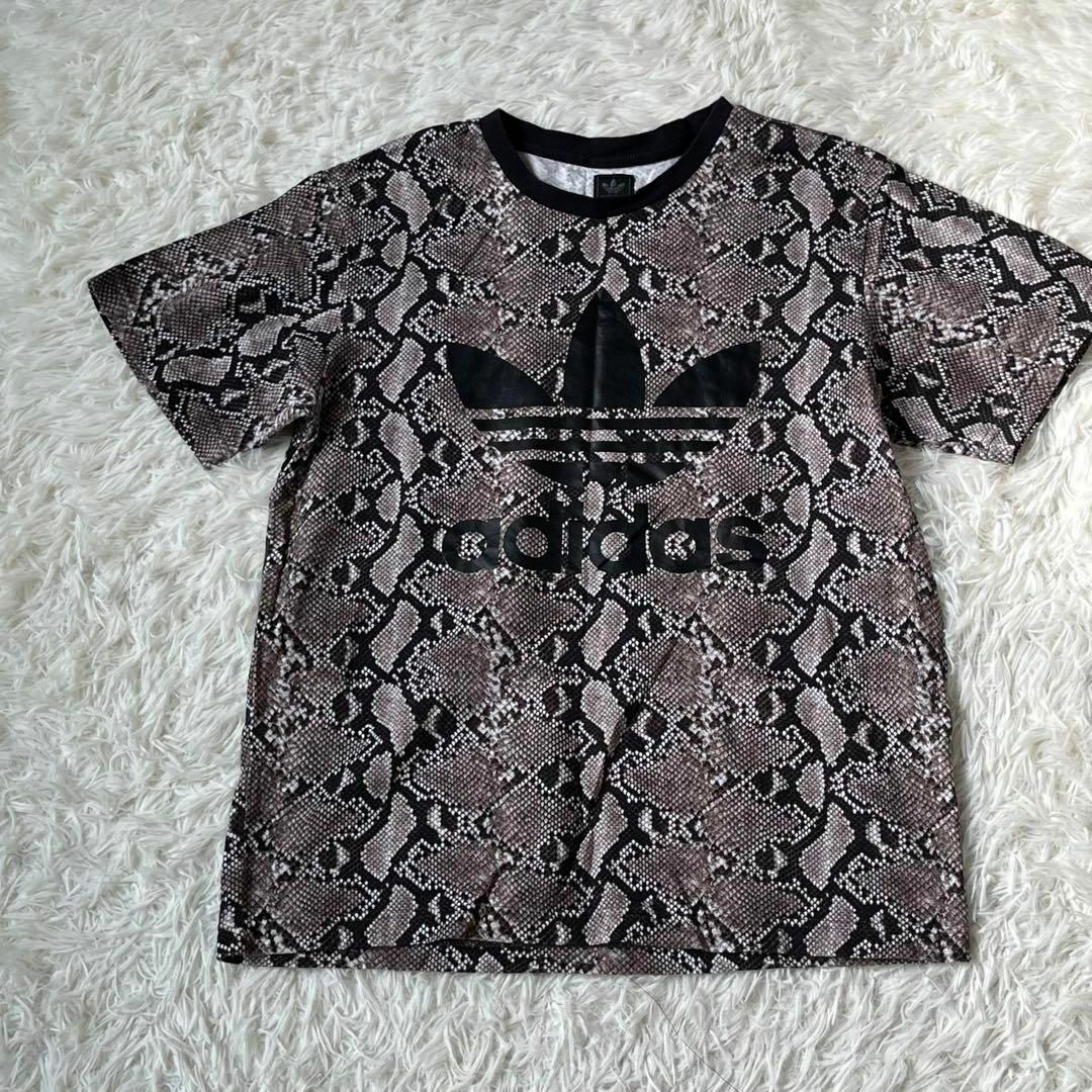 adidas(アディダス)のadidas アディダス　パイソン　スネーク　柄　Tシャツ　トレフォイル レディースのトップス(Tシャツ(半袖/袖なし))の商品写真