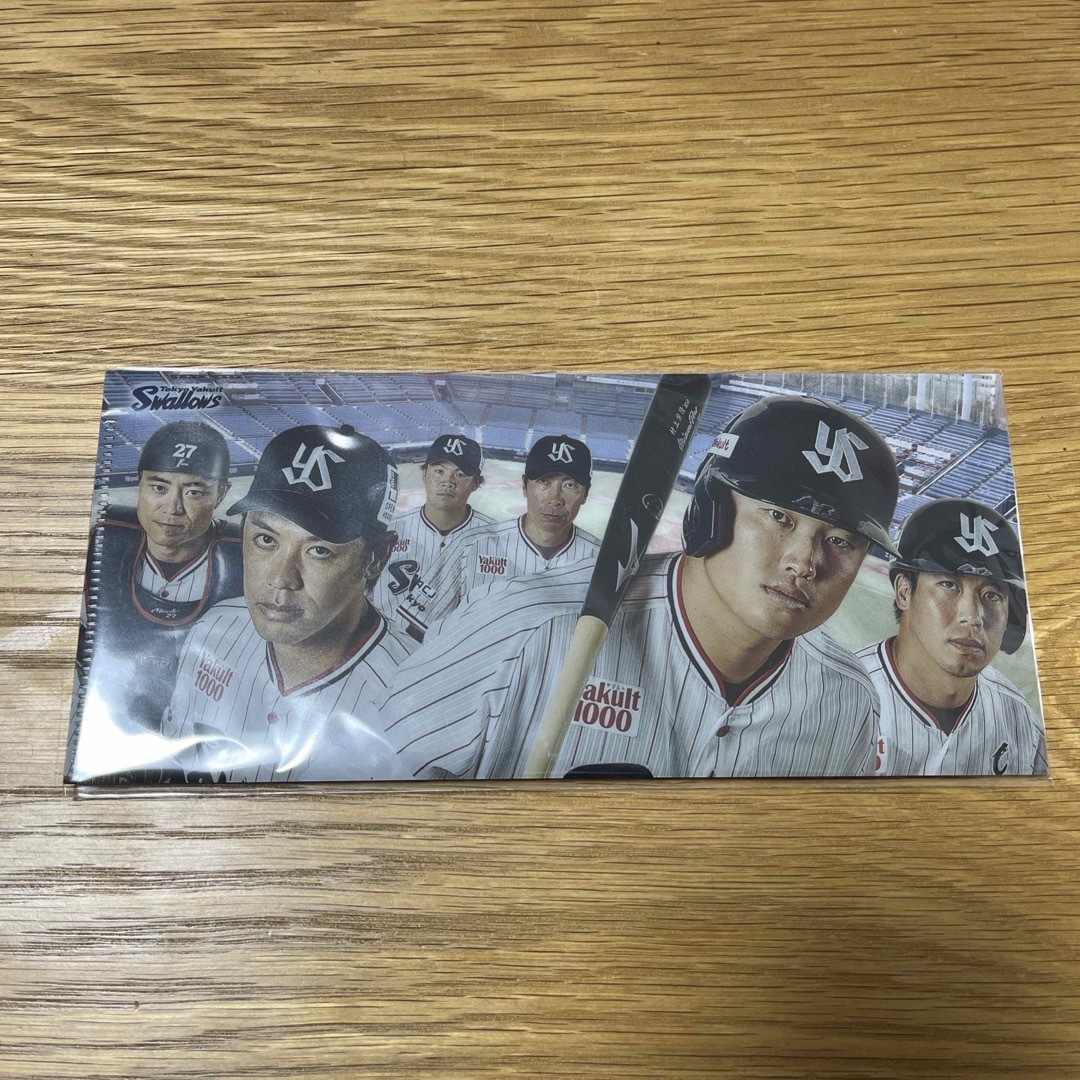 東京ヤクルトスワローズ　チケットホルダー スポーツ/アウトドアの野球(記念品/関連グッズ)の商品写真