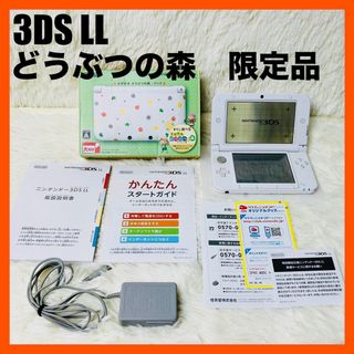 ニンテンドー3DS(ニンテンドー3DS)の任天堂　Nintendo 3DS LL どうぶつの森(家庭用ゲーム機本体)