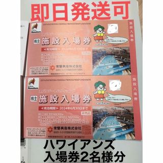 スパリゾート　ハワイアンズ　施設入場券 ２枚　　株主優待　常磐興産(遊園地/テーマパーク)