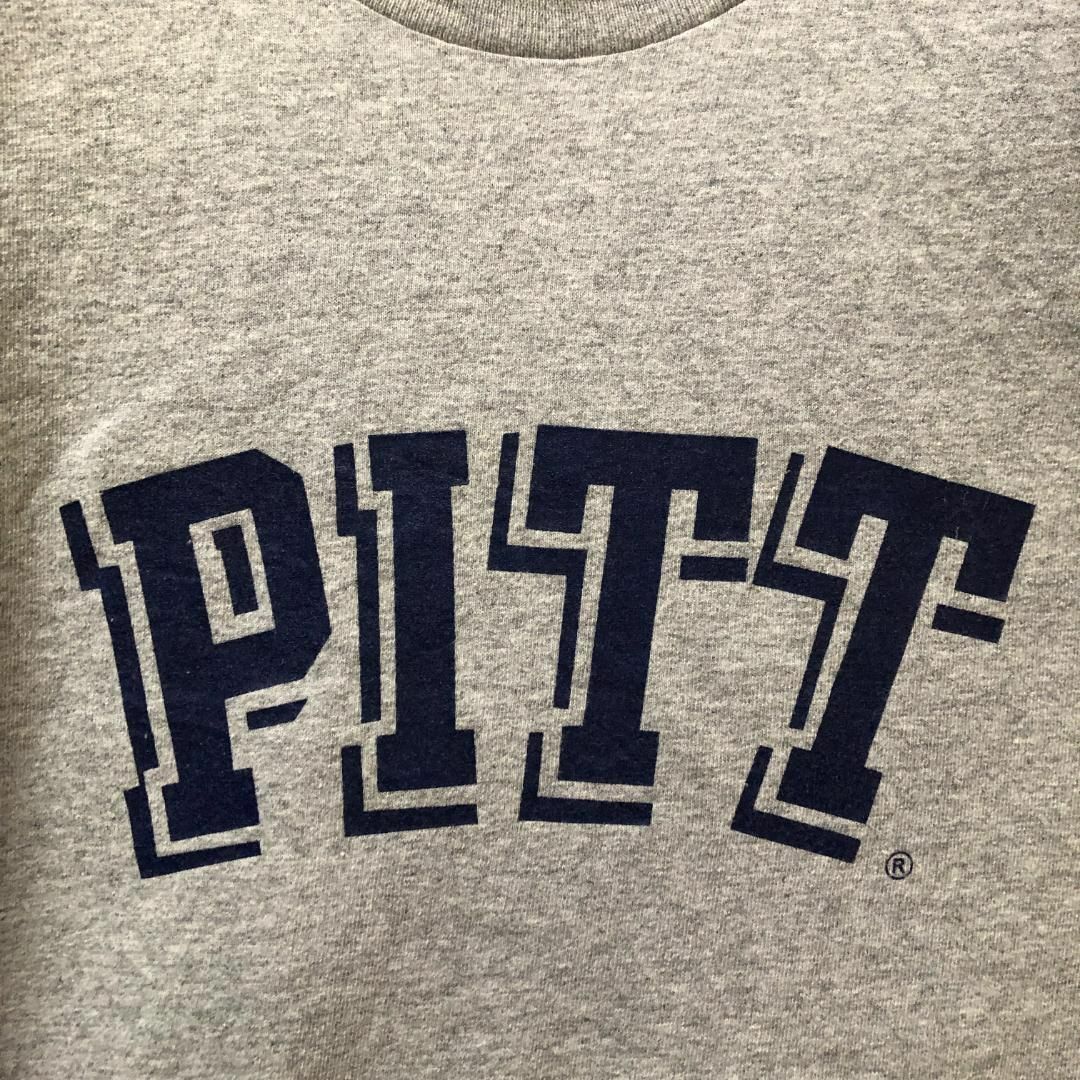 DELTA(デルタ)のPITT 立体風プリント アメリカ輸入 アメカジ Tシャツ メンズのトップス(Tシャツ/カットソー(半袖/袖なし))の商品写真