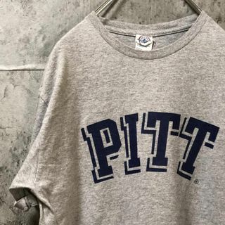 DELTA - PITT 立体風プリント アメリカ輸入 アメカジ Tシャツ