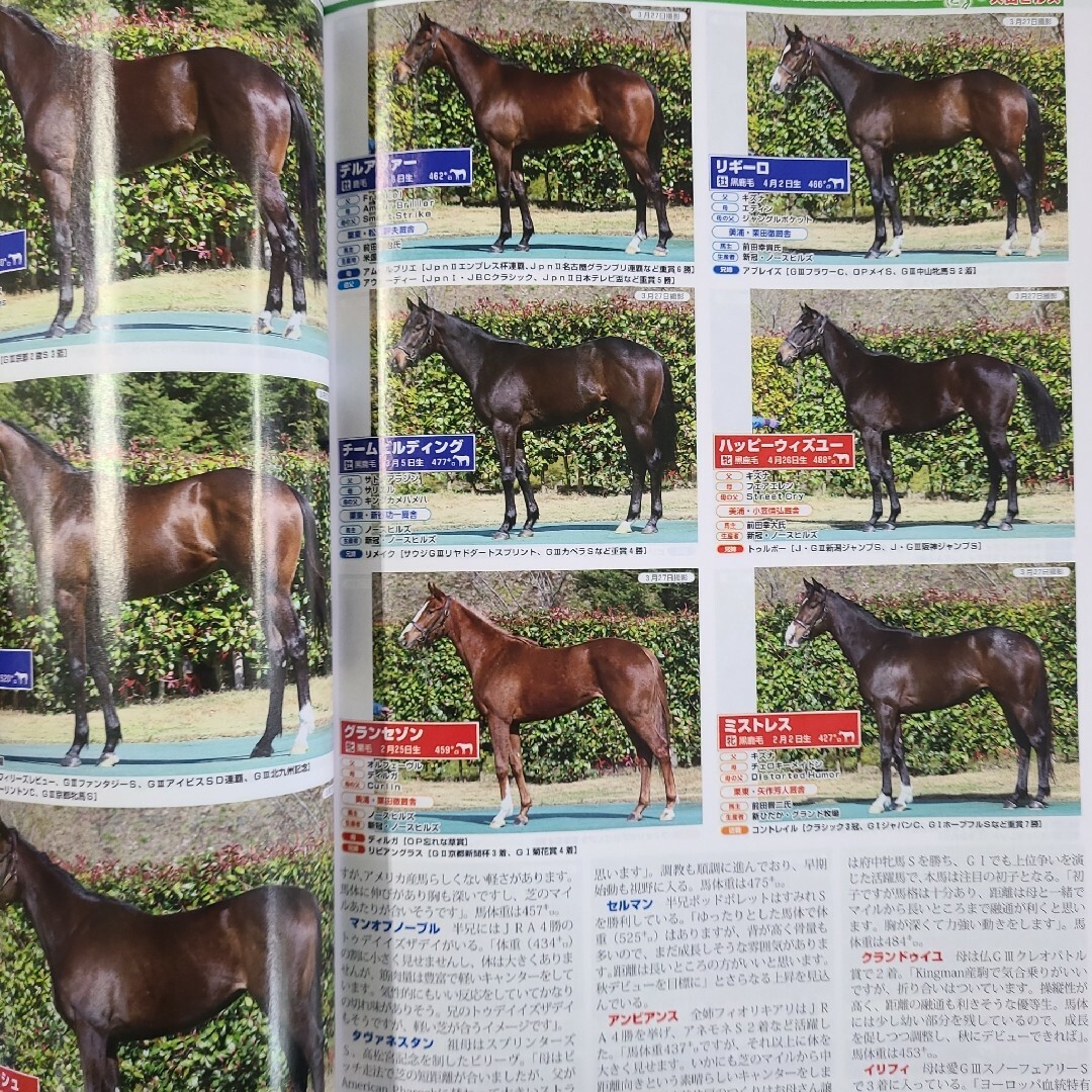 匿名配送、送料無料、即購入OK!週刊ギャロップ臨時増刊POG2024~2025 エンタメ/ホビーの雑誌(ニュース/総合)の商品写真