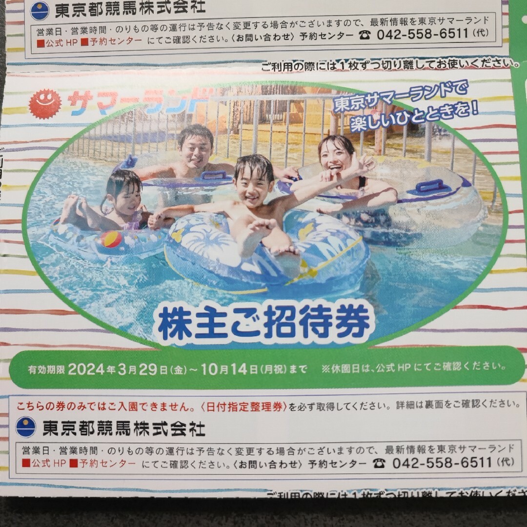 東京サマーランド 株主優待 8枚 チケットの施設利用券(プール)の商品写真