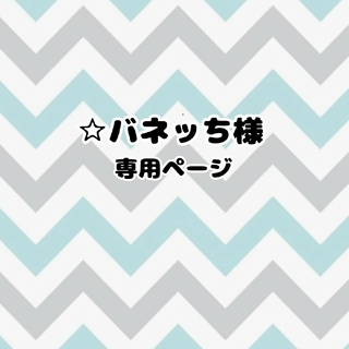 バネッち様　専用ページ(オーダーメイド)