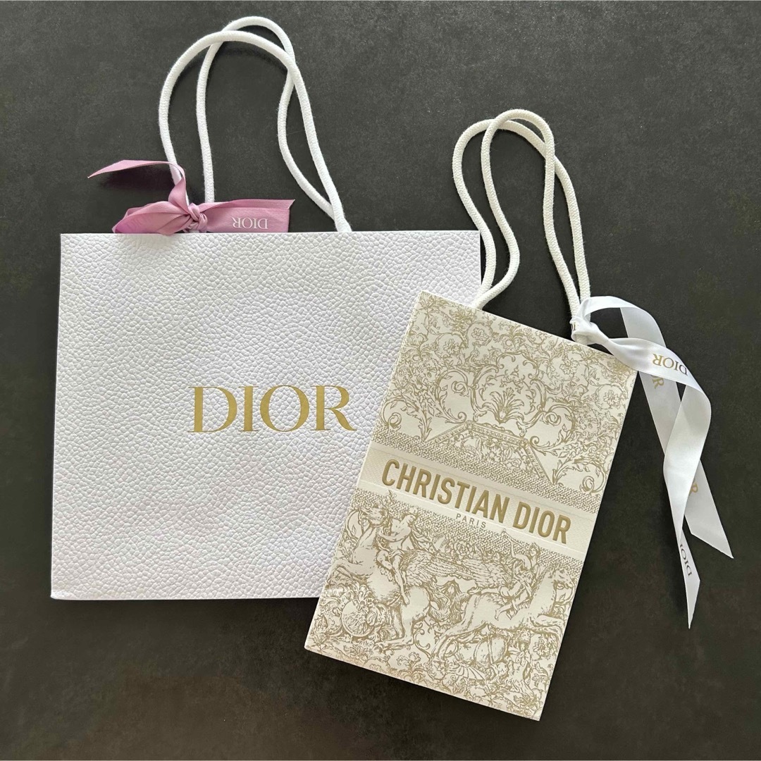 Dior(ディオール)のディオール　ホリデー紙袋 インテリア/住まい/日用品のオフィス用品(ラッピング/包装)の商品写真