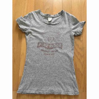 Abercrombie&Fitch　アバクロ　Tシャツ　XS グレー　半袖(Tシャツ(半袖/袖なし))