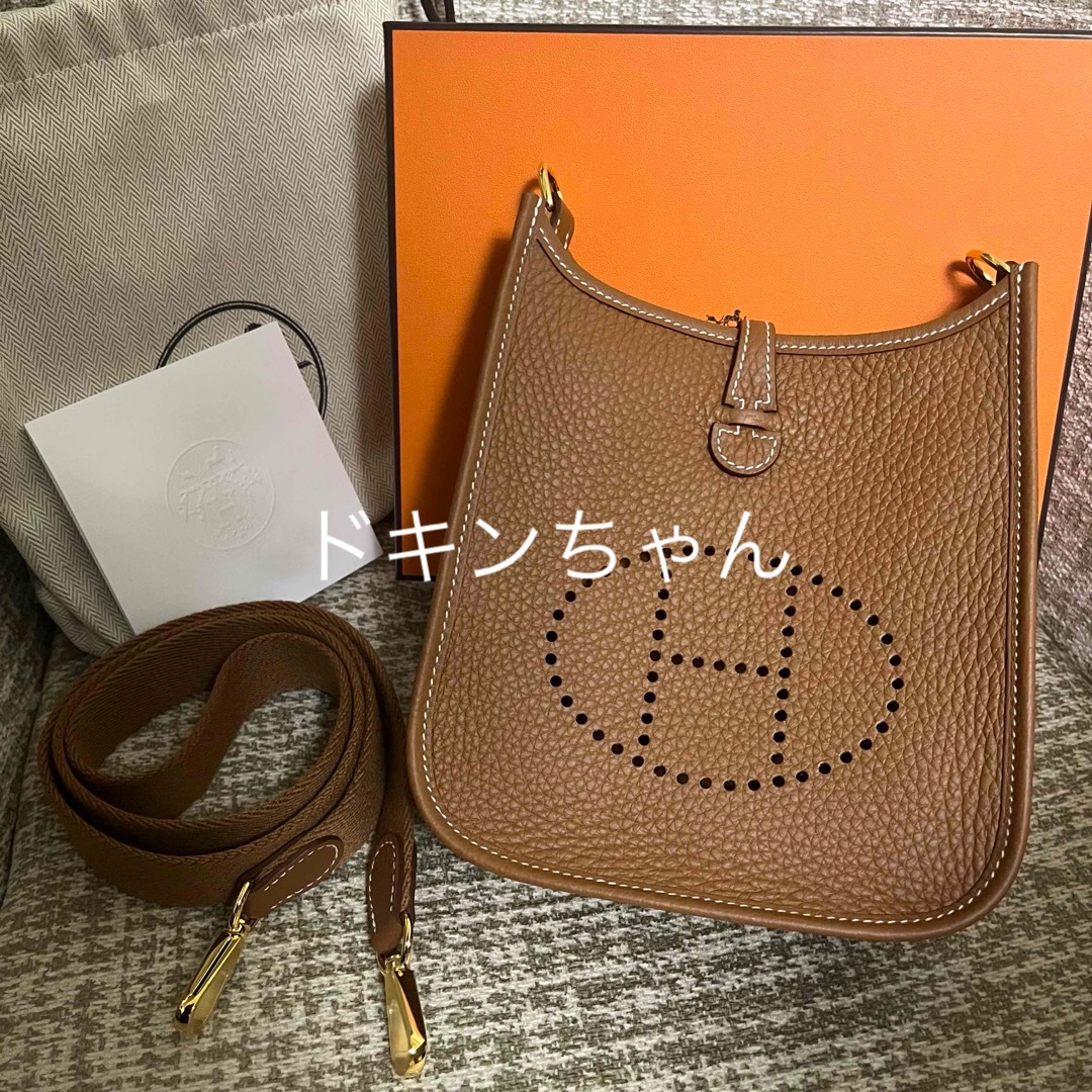 Hermes(エルメス)のエルメス エヴリン16 アマゾーヌ tpm ミニエヴリン ゴールド 新品 レディースのバッグ(ショルダーバッグ)の商品写真