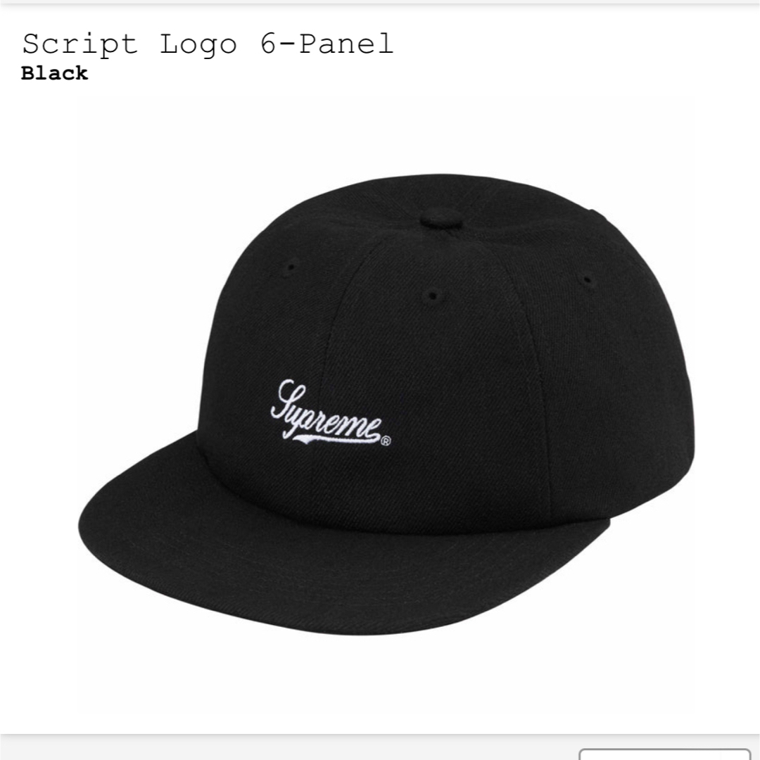 Supreme(シュプリーム)のsupreme Script Logo 6-Panel メンズの帽子(キャップ)の商品写真