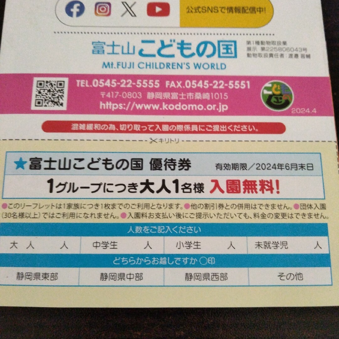 春のこどもの国まつり 大人1名無料クーポン 2枚 チケットの優待券/割引券(その他)の商品写真