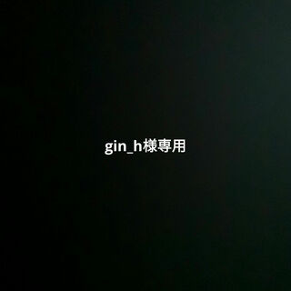 gin_h様専用(その他)