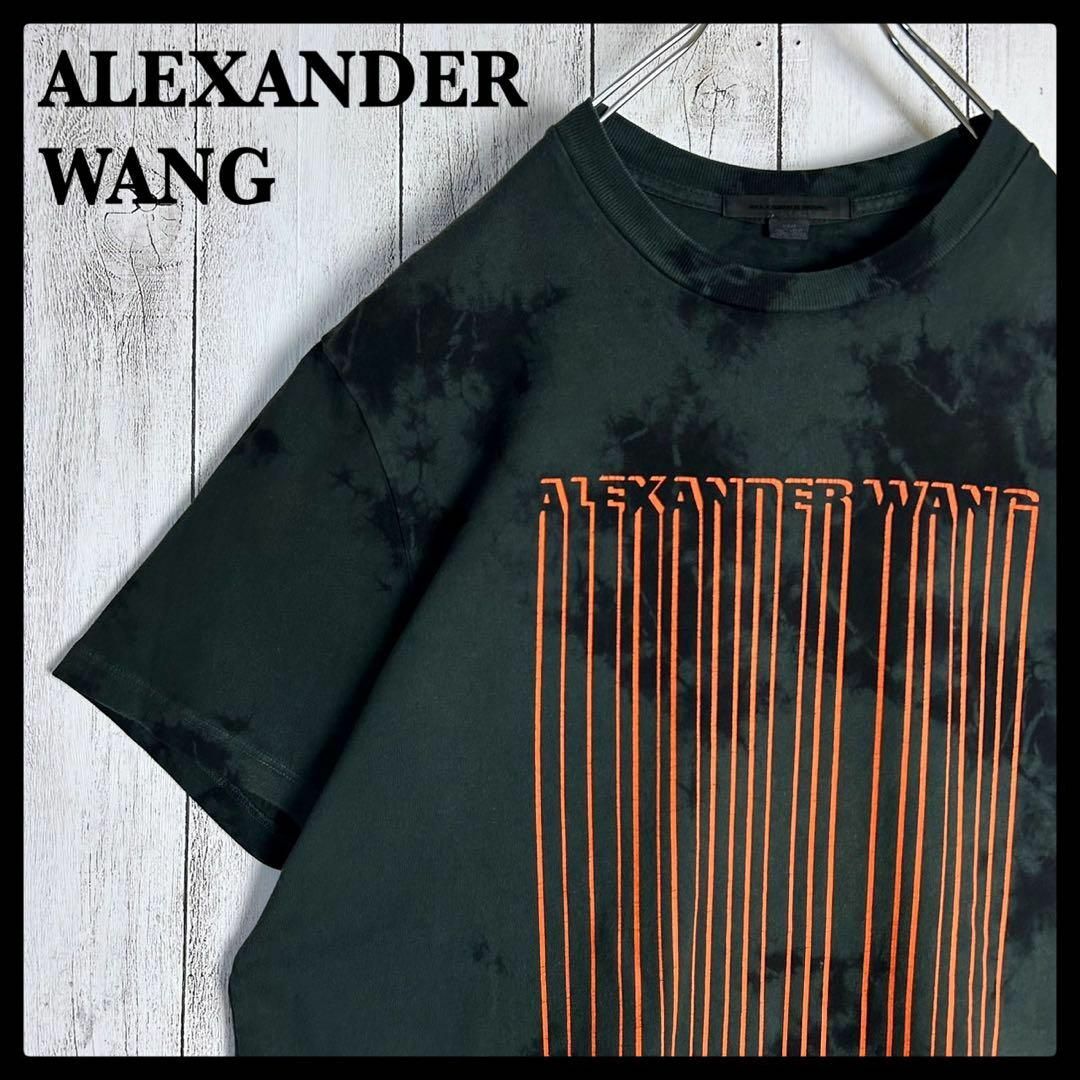 Alexander Wang(アレキサンダーワン)の【希少デザイン】アレキサンダーワン☆バーコードロゴ入りTシャツ タイダイ柄 メンズのトップス(Tシャツ/カットソー(半袖/袖なし))の商品写真