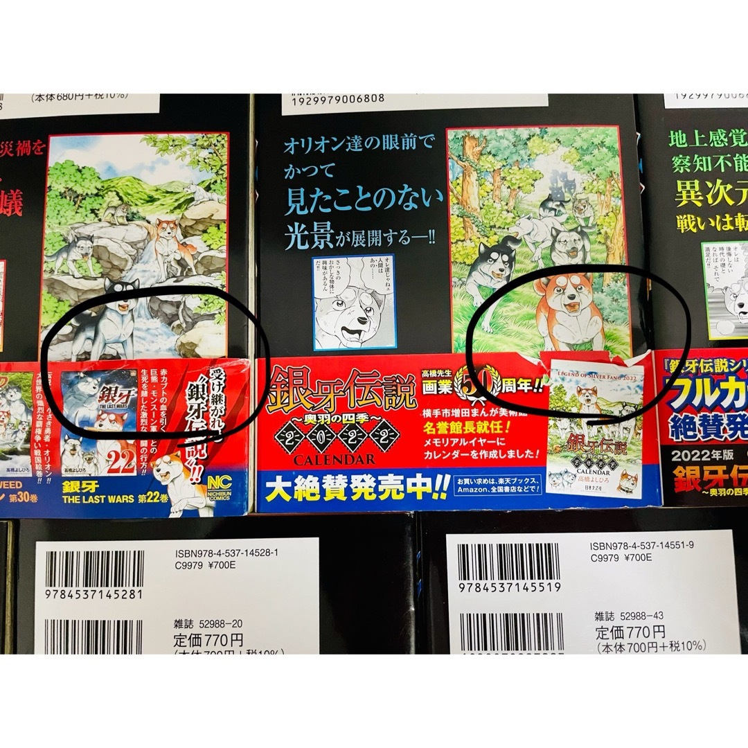 【全巻帯付‼︎】銀牙伝説ノア　全17巻　全巻セット　高橋よしひろ エンタメ/ホビーの漫画(全巻セット)の商品写真