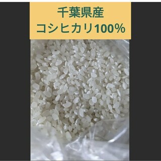 無洗米コシヒカリ1.8キロ(米/穀物)