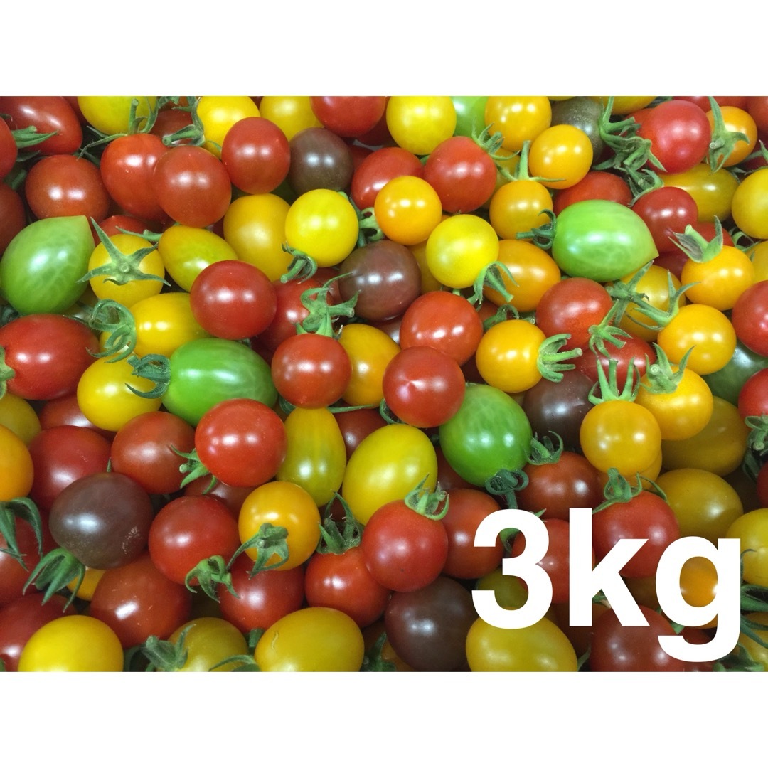 ミニトマト3kgミックス 食品/飲料/酒の食品(野菜)の商品写真