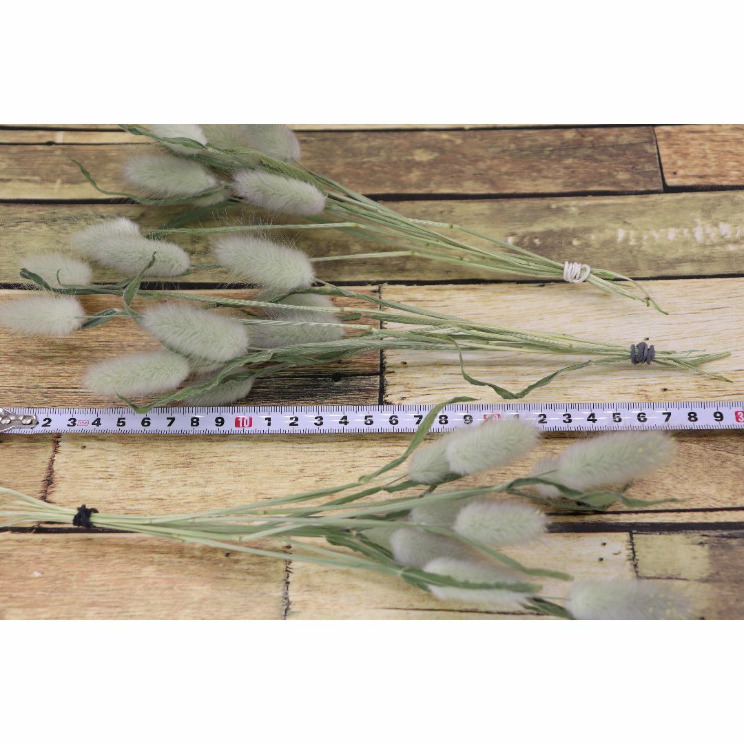ラグラス(大) 70本♪ 長さ18〜30cm 今春収穫 ハンドメイドのフラワー/ガーデン(ドライフラワー)の商品写真