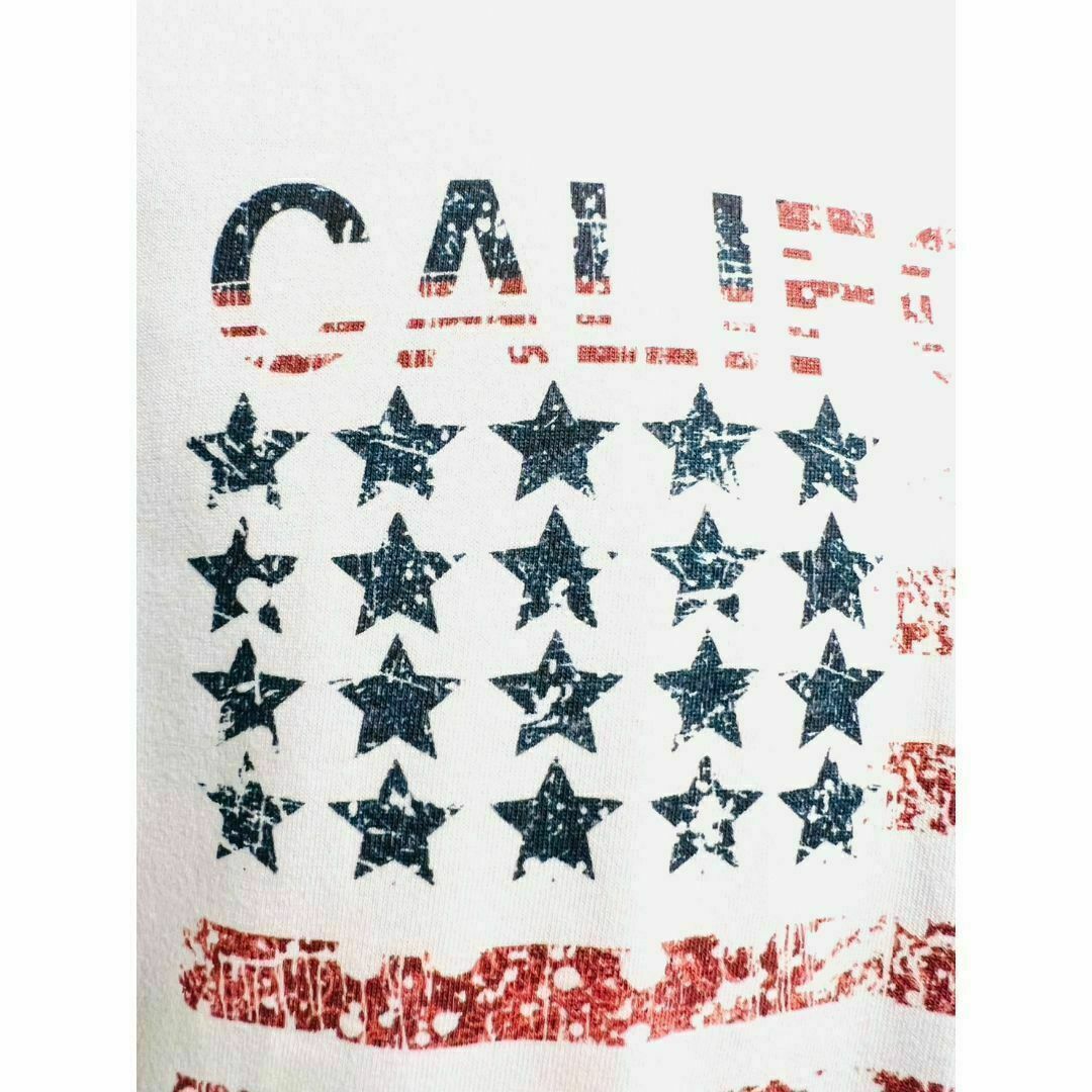 サーフTシャツ メンズ 星 スター 西海岸 星条旗 波乗り カリフォルニア L メンズのトップス(Tシャツ/カットソー(半袖/袖なし))の商品写真