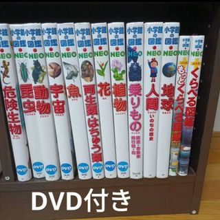 小学館の図鑑NEOセット　DVD付き(絵本/児童書)