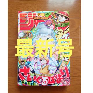 シュウエイシャ(集英社)の週刊少年ジャンプ2024年24号応募券有り(少年漫画)