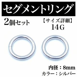 セグメントリング 14G 2本 フープピアス ボディピアス シルバー BP178(ピアス(片耳用))