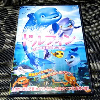 ドルフィン 太陽の秘密と夢の冒険　DVD(アニメ)