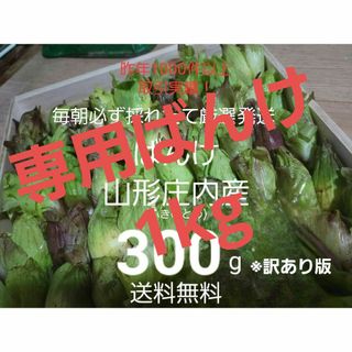 専用ばんけ約1000g(野菜)