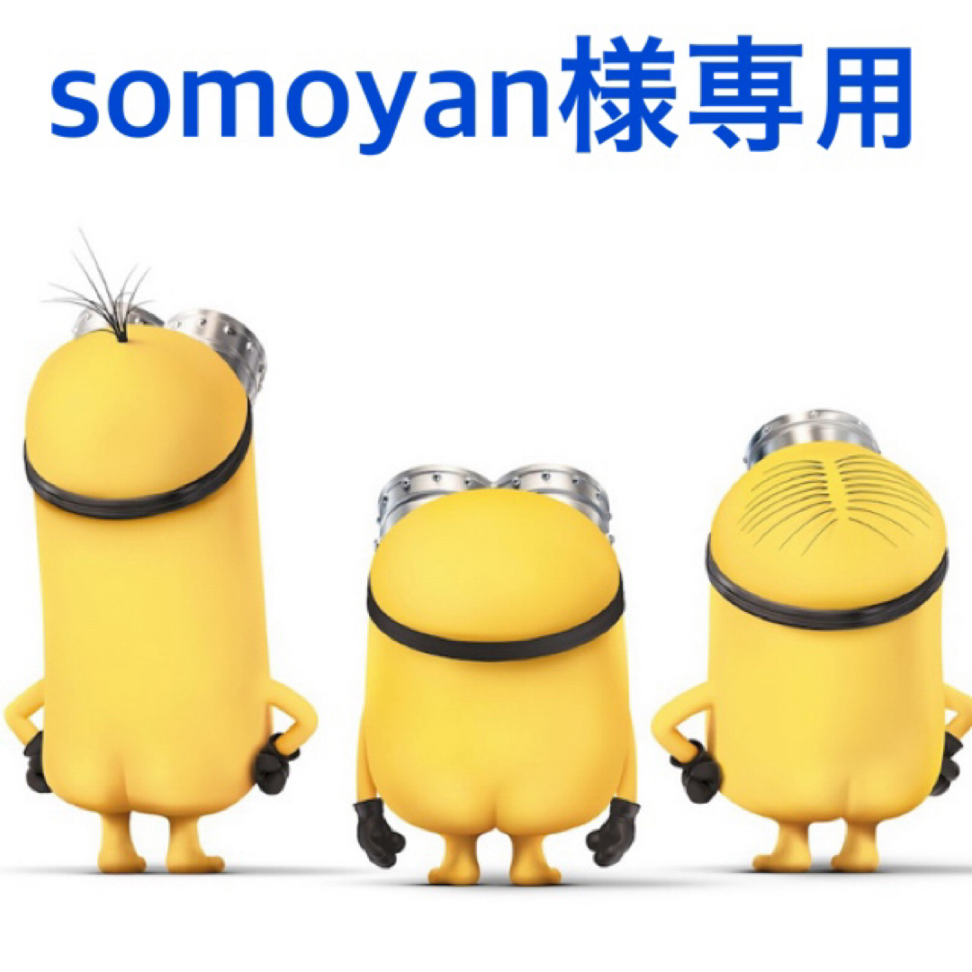 SunnyHealth(サニーヘルス)のsomoyan様専用 コスメ/美容のダイエット(ダイエット食品)の商品写真