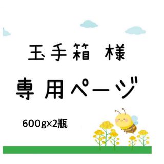 日本蜜蜂 蜂蜜 国産 600g×2【2024年2月採蜜‼️】(調味料)