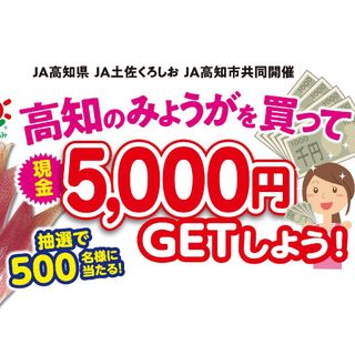 ★★懸賞応募 高知産 みょうが 現金5000円キャンペーン【2口】★★