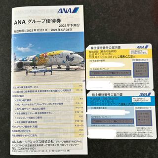 エーエヌエー(ゼンニッポンクウユ)(ANA(全日本空輸))のANA 株主優待券(その他)