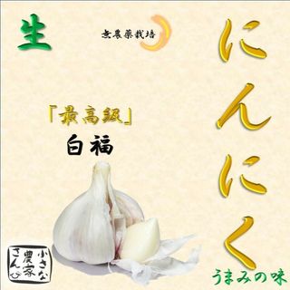 にんにく(野菜)