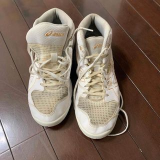 アシックス(asics)のasics 24センチ　バッシュ(バスケットボール)