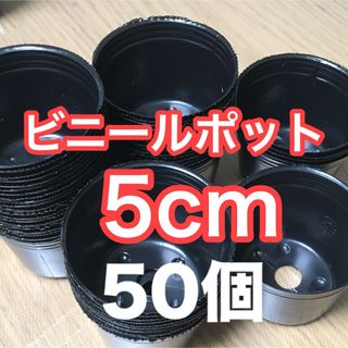 ビニールポット5cmサイズ 希少 50個 (その他)