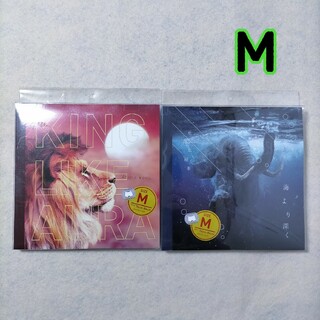 [01] M ボクサーパンツ CDっぽい 2枚(ボクサーパンツ)