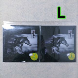 [06] L ボクサーパンツ CDっぽい 2枚(ボクサーパンツ)